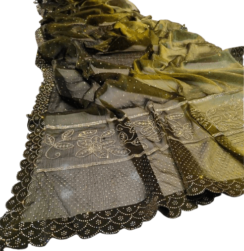 Jimmy Choo Fabric Saree – Double Shade with Jarkan Stone Work