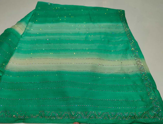 Shimmering Rimzim Saree with Rainbow Stone Work & Designer Blouse