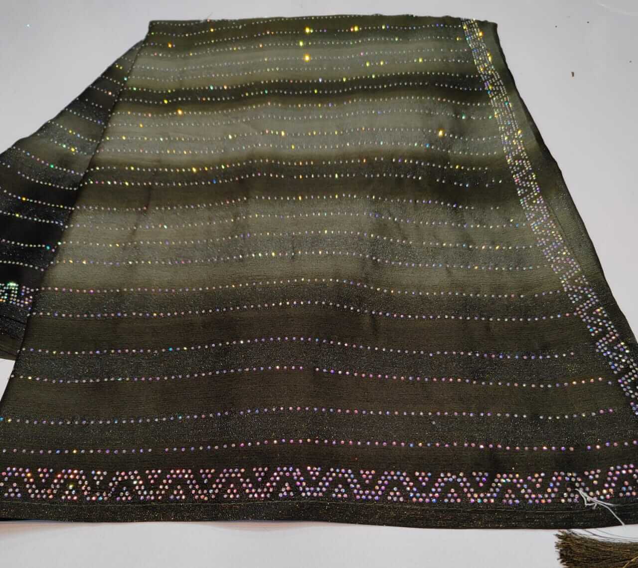 Shimmering Rimzim Saree with Rainbow Stone Work & Designer Blouse