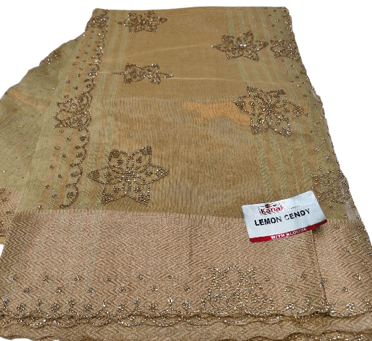 Cutwork Border Saree – Jarkan Stone Work Collection