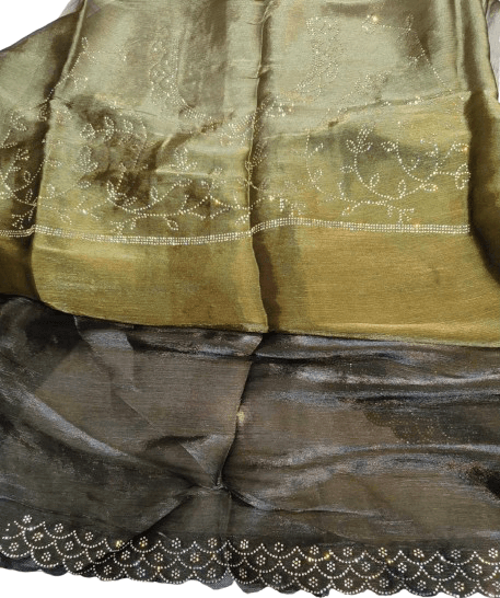Jimmy Choo Fabric Saree – Double Shade with Jarkan Stone Work
