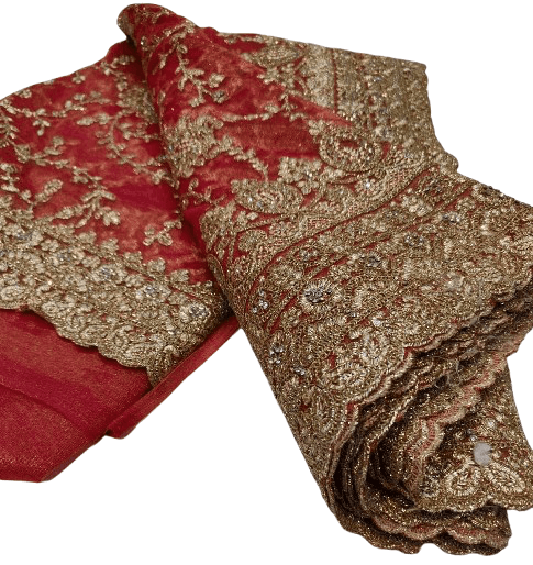 Twillnet Bridal Saree – Heavy Jarkan Glitter Collection