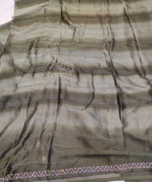 Shimmering Rimzim Saree with Rainbow Stone Work & Designer Blouse