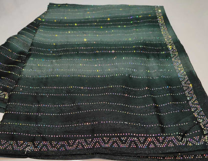 Shimmering Rimzim Saree with Rainbow Stone Work & Designer Blouse