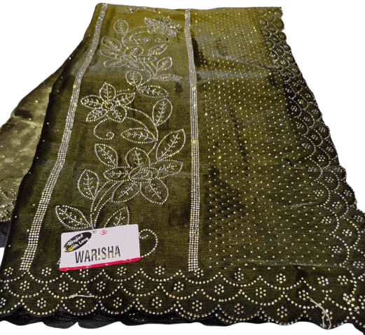 Jimmy Choo Fabric Saree – Double Shade with Jarkan Stone Work